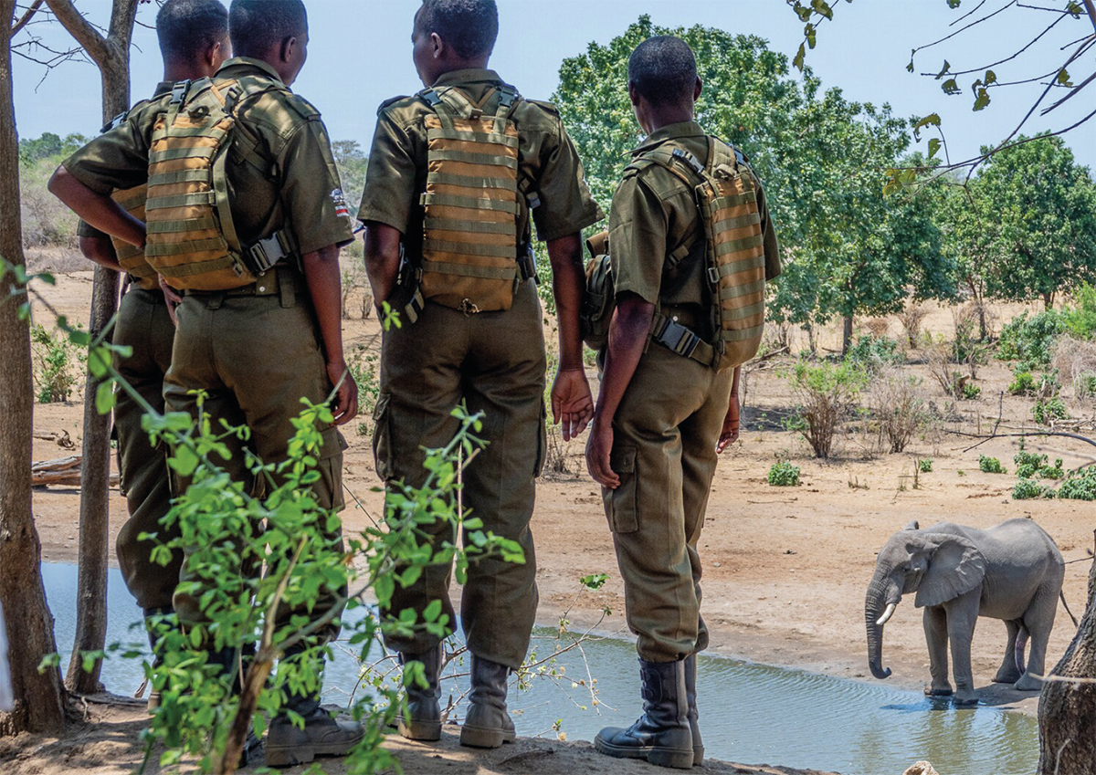 Traver African Rangers