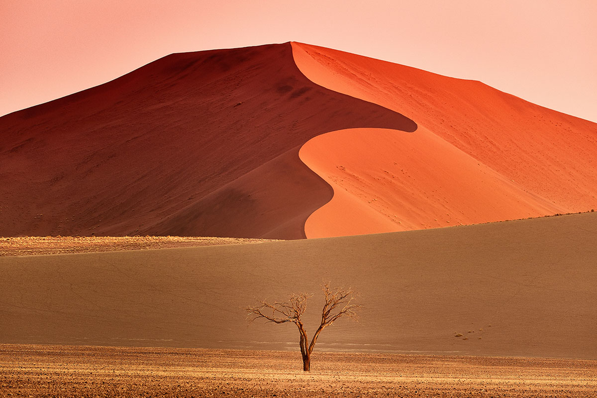 DYN Travel Namib